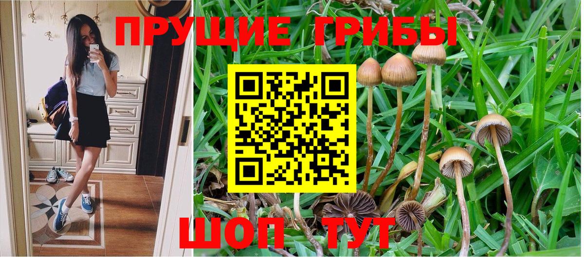 Галлюциногенные грибы MAGIC MUSHROOMS  Вход с VPN  Электрогорск 