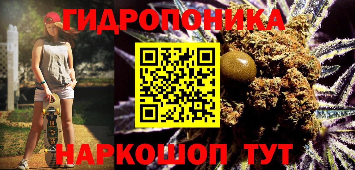 Канабис OG Kush  Конопля LSD WEED  Электрогорск  Вход с VPN  МАРИХУАНА семена 
